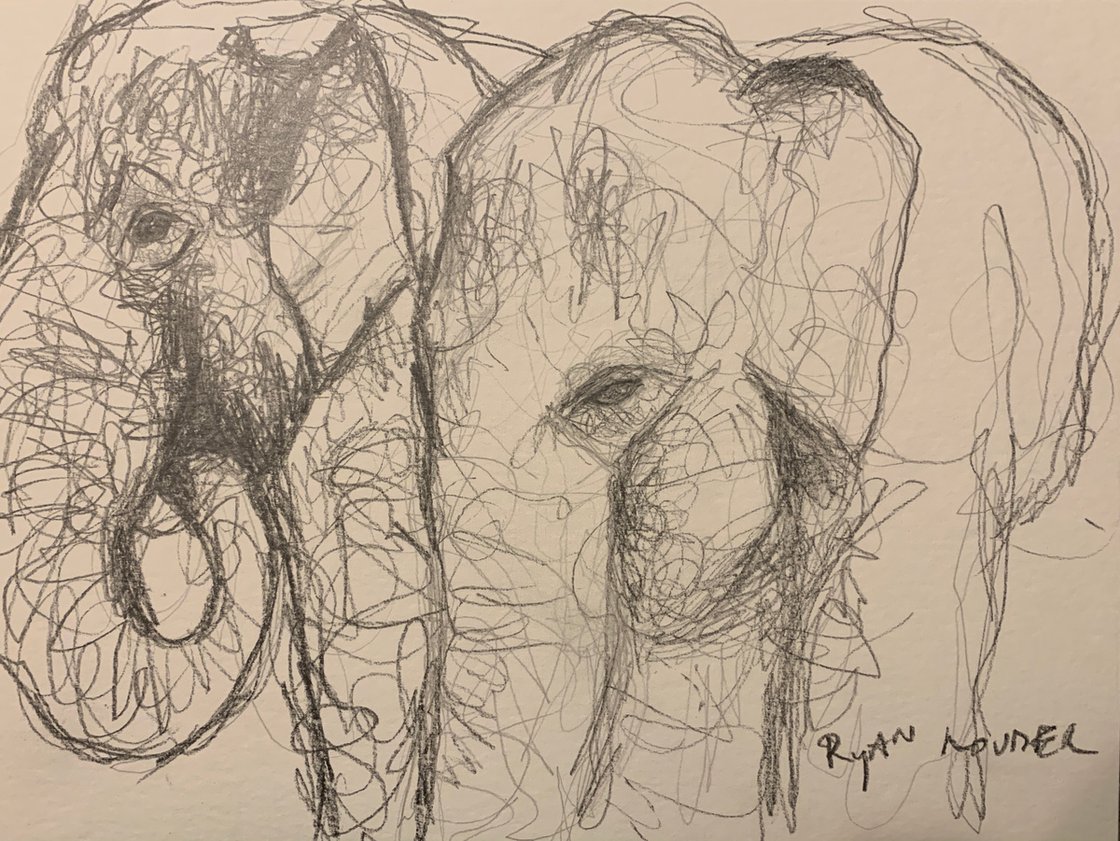 Elephants 12x16 by Ryan Louder - Sold