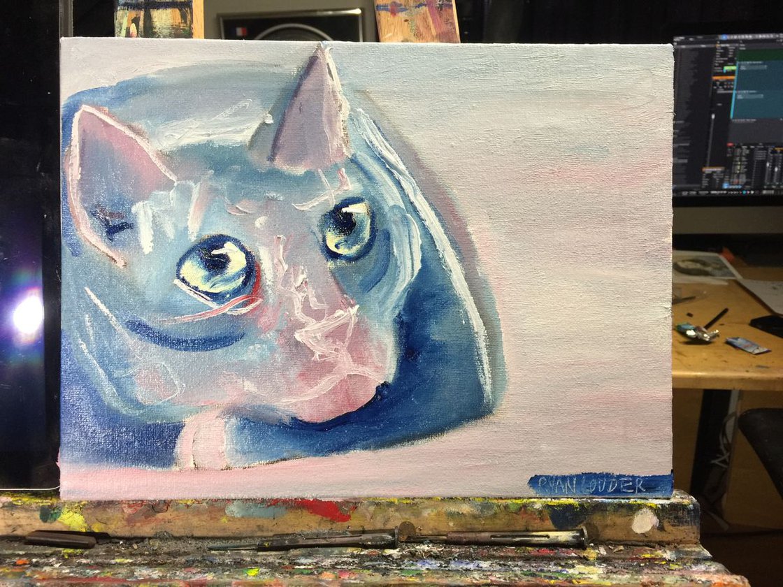 Cat by Ryan Louder