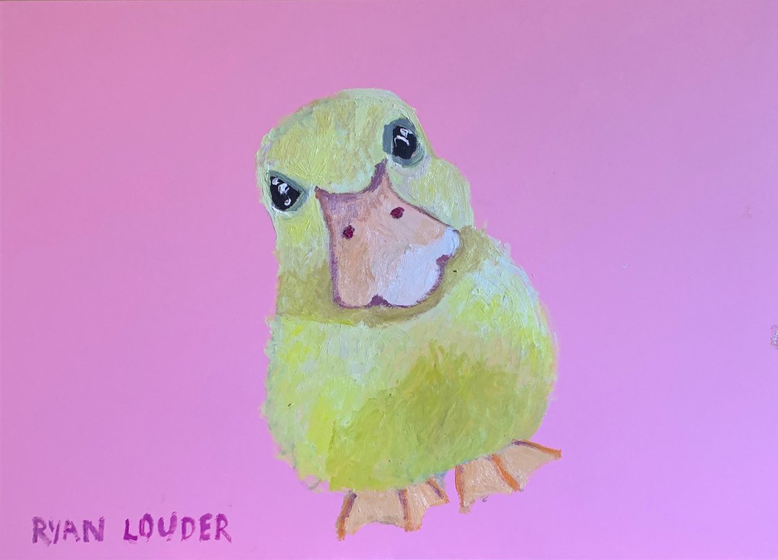 Duckling by Ryan Louder
