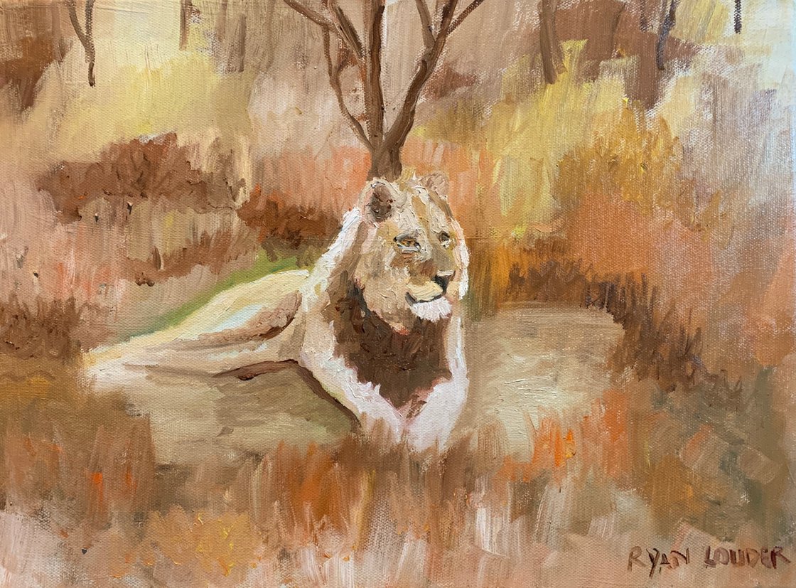 Lion Resting by Ryan Louder