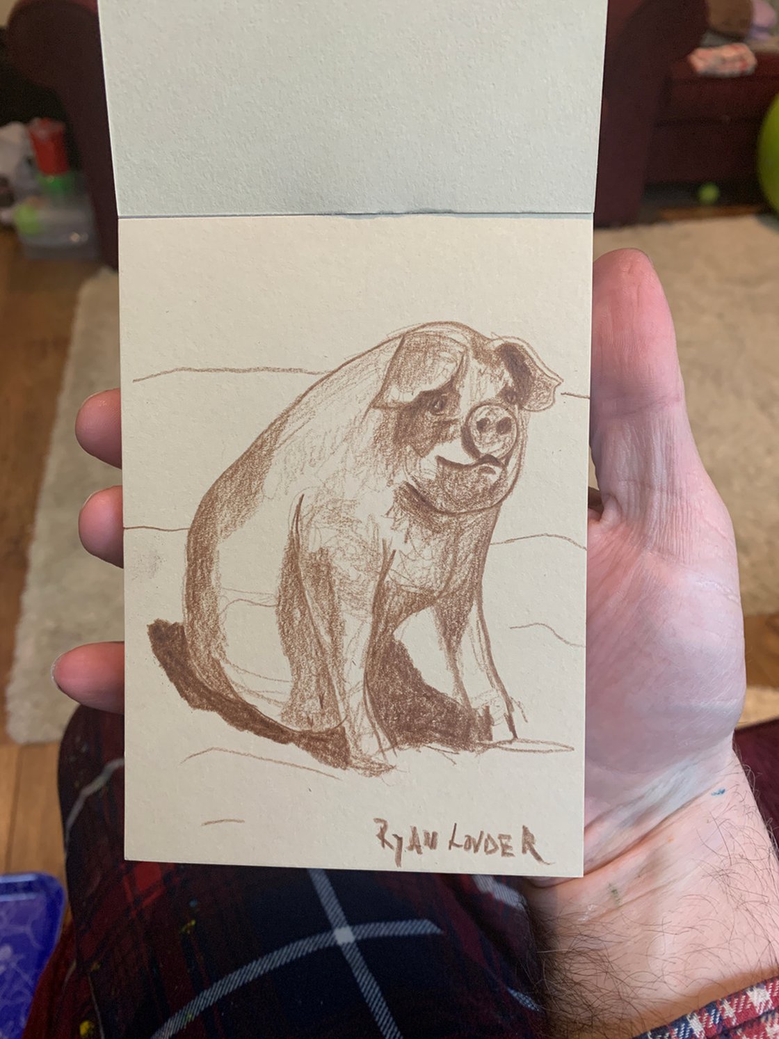Small Pig Drawing - Sitting Pig by Ryan Louder - Sold