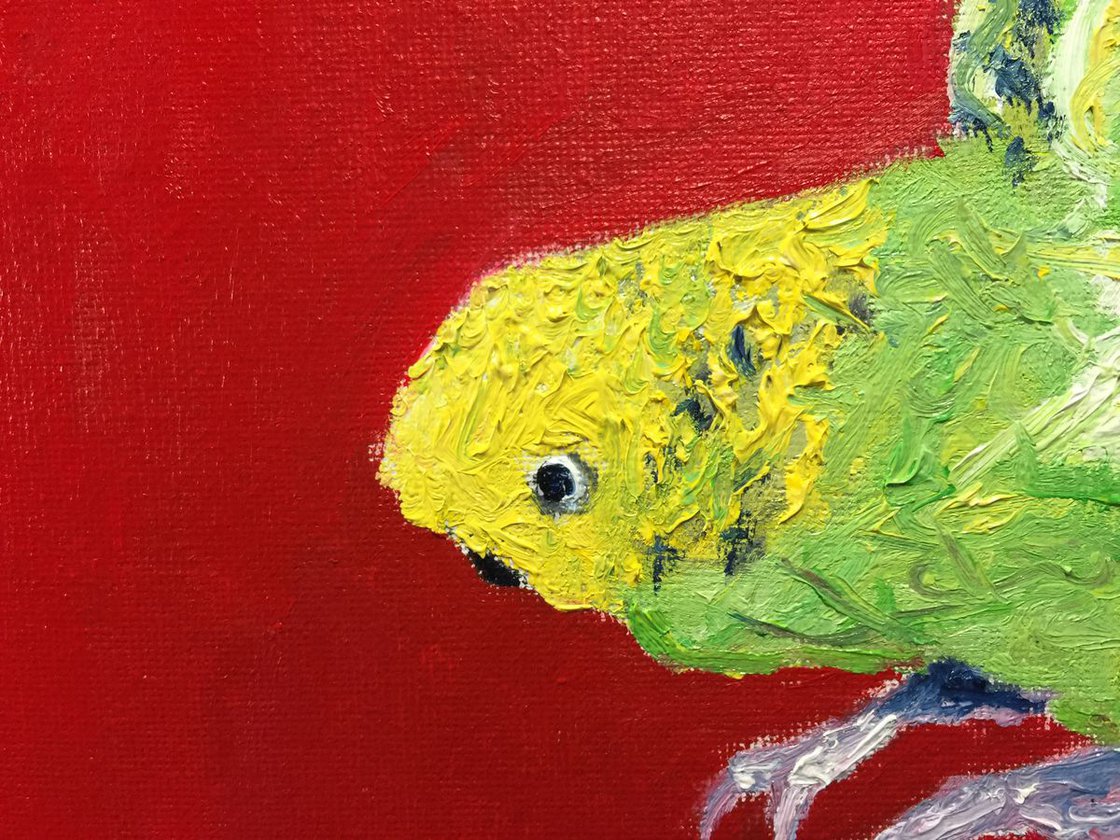 Budgie by Ryan Louder - Sold