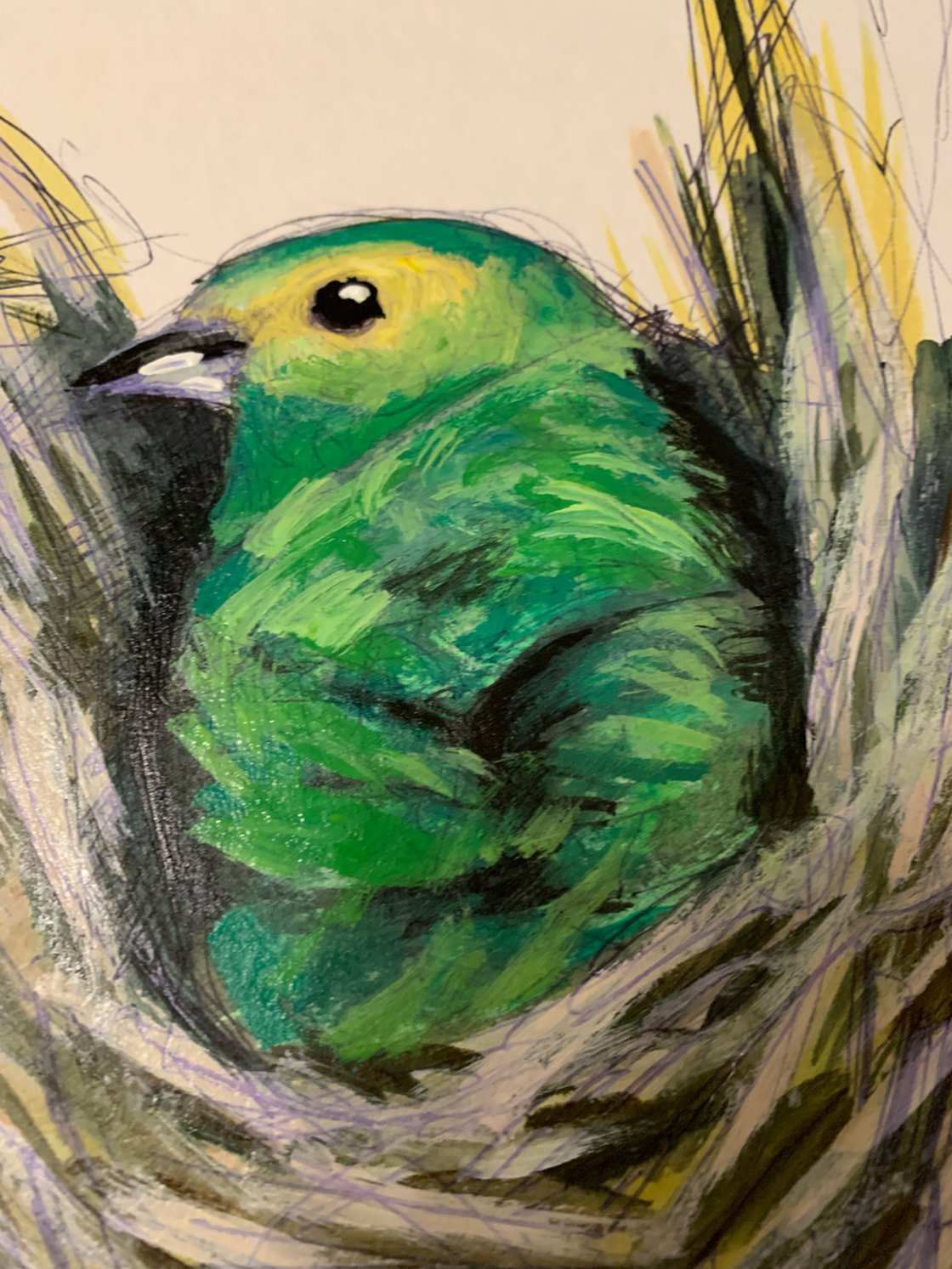 Bird Nesting by Ryan Louder - Sold