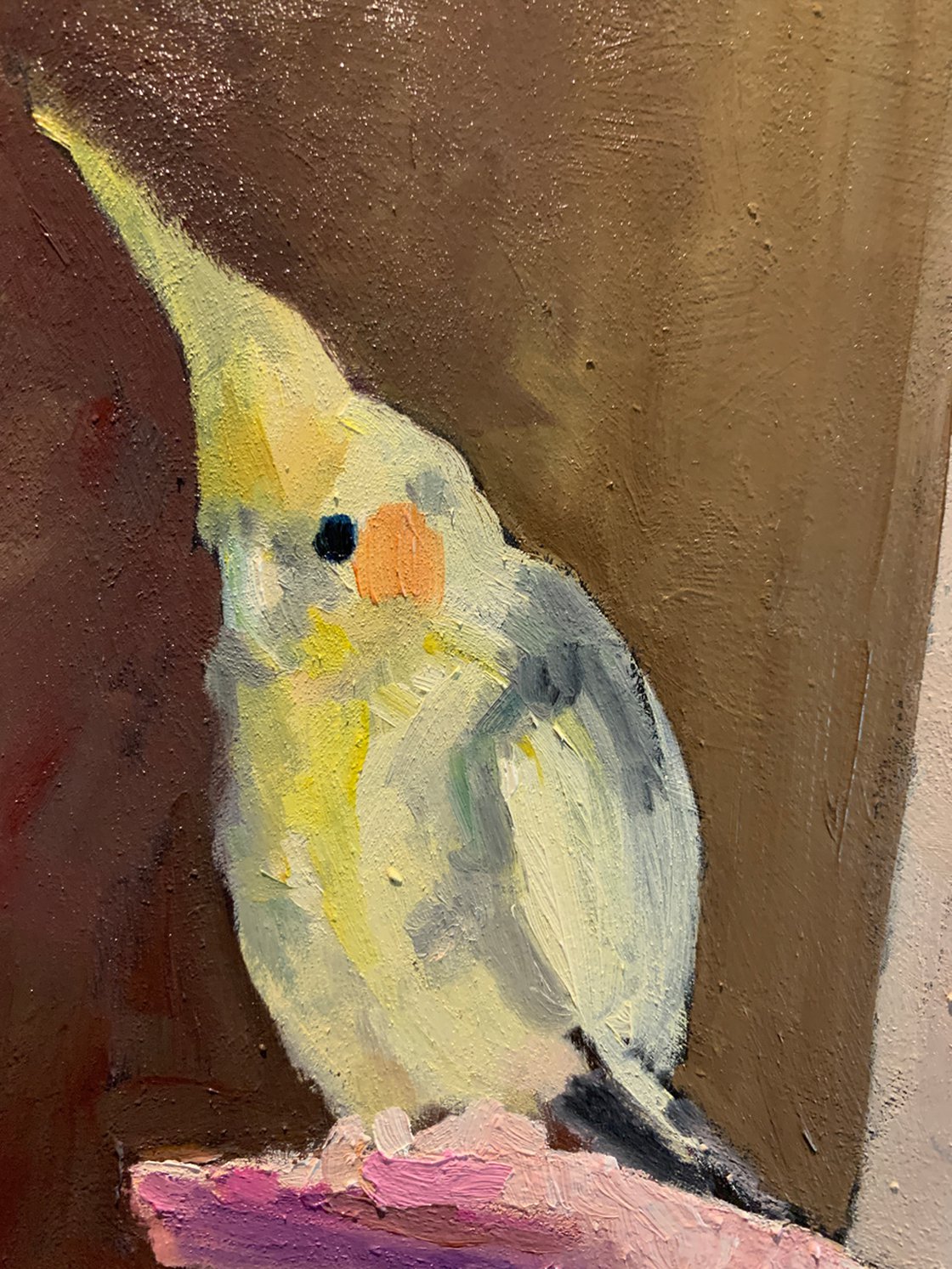 How To Train A Cockatiel - by Ryan Louder