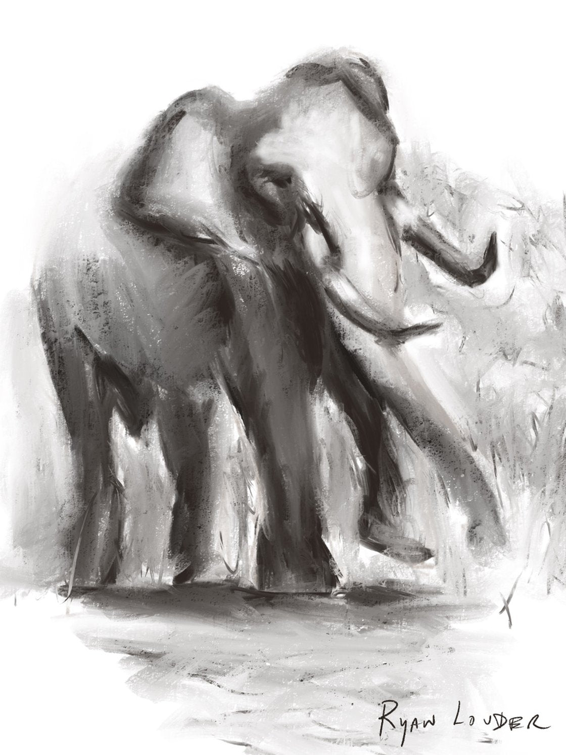 Elephant Vibrations by Ryan Louder