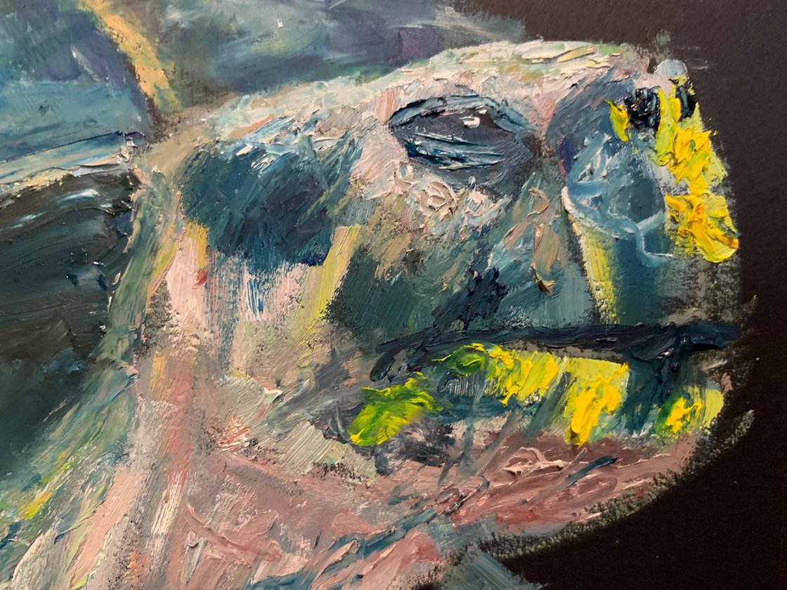 Tortoise by Ryan Louder - Sold