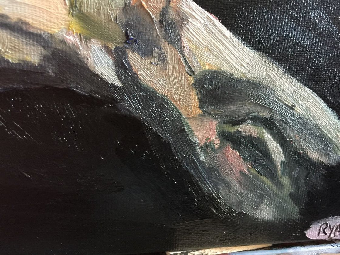 A painting titled 'Galah by Ryan Louder' by Ryan Louder