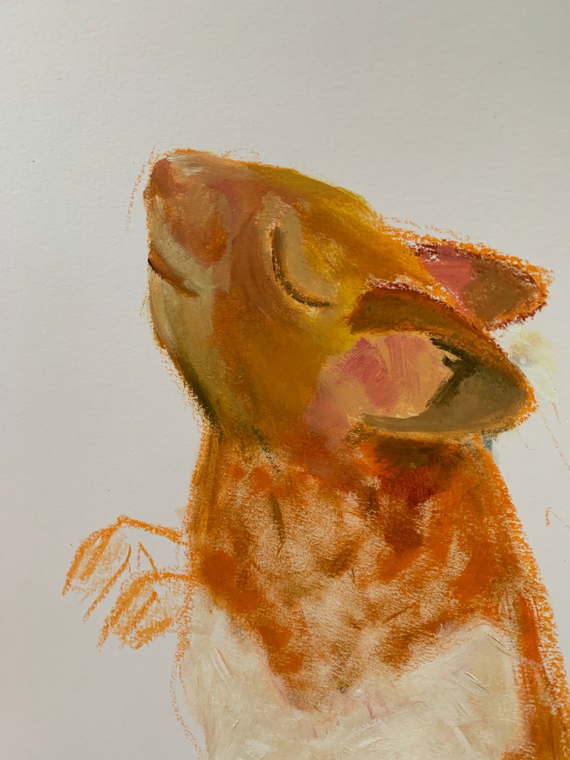 The Hamster Who Liked To Dance 17x24 by Ryan Louder
