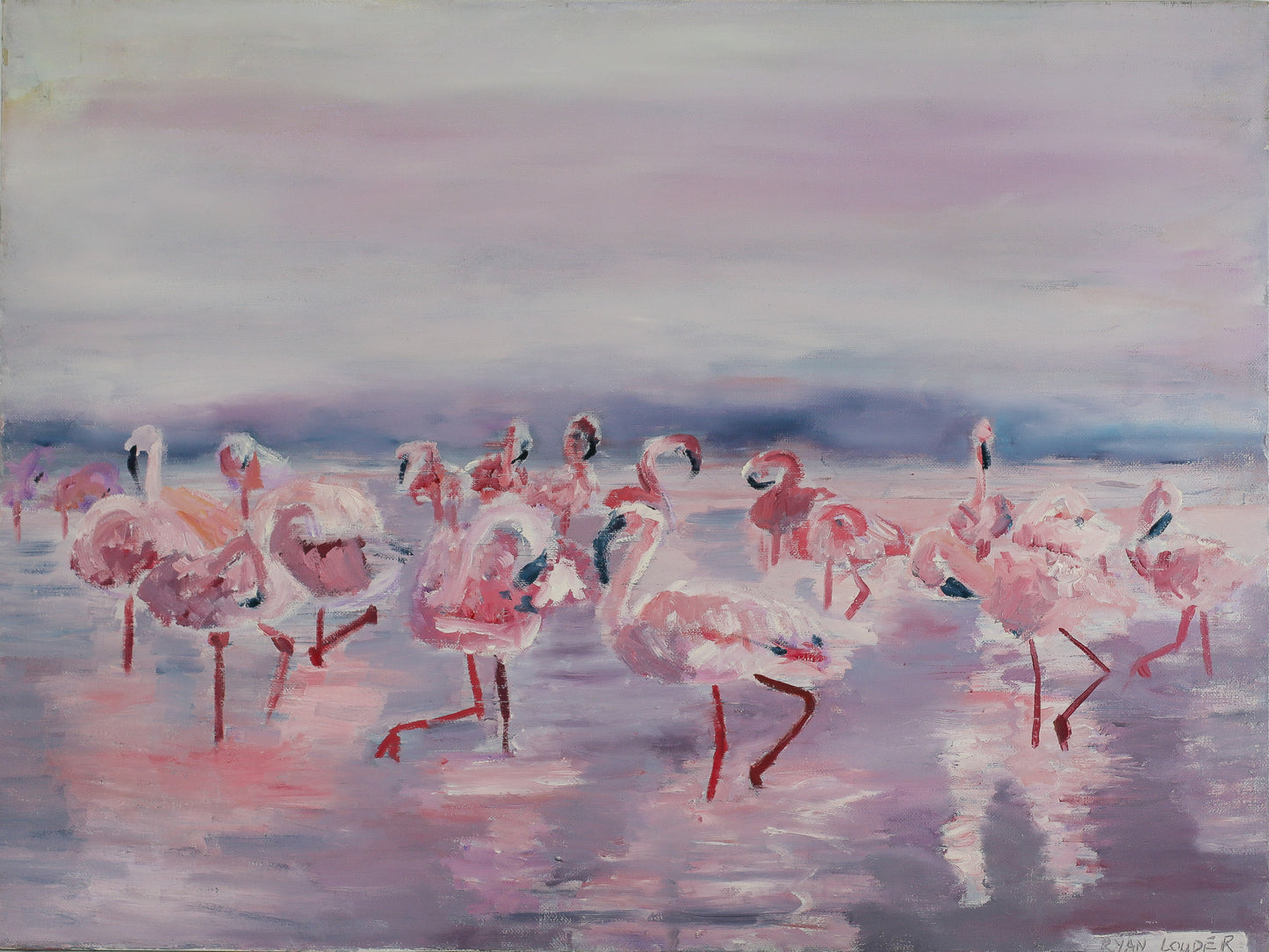 A group of pink flamingos standing in shallow water, with a cloudy sky in the background.