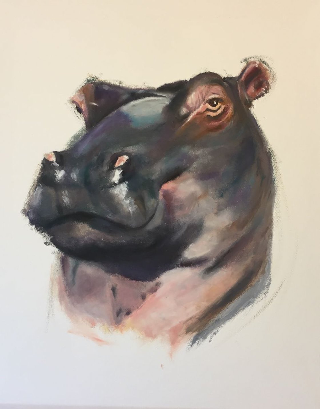 Hello Mr Hippo by Ryan Louder - Sold