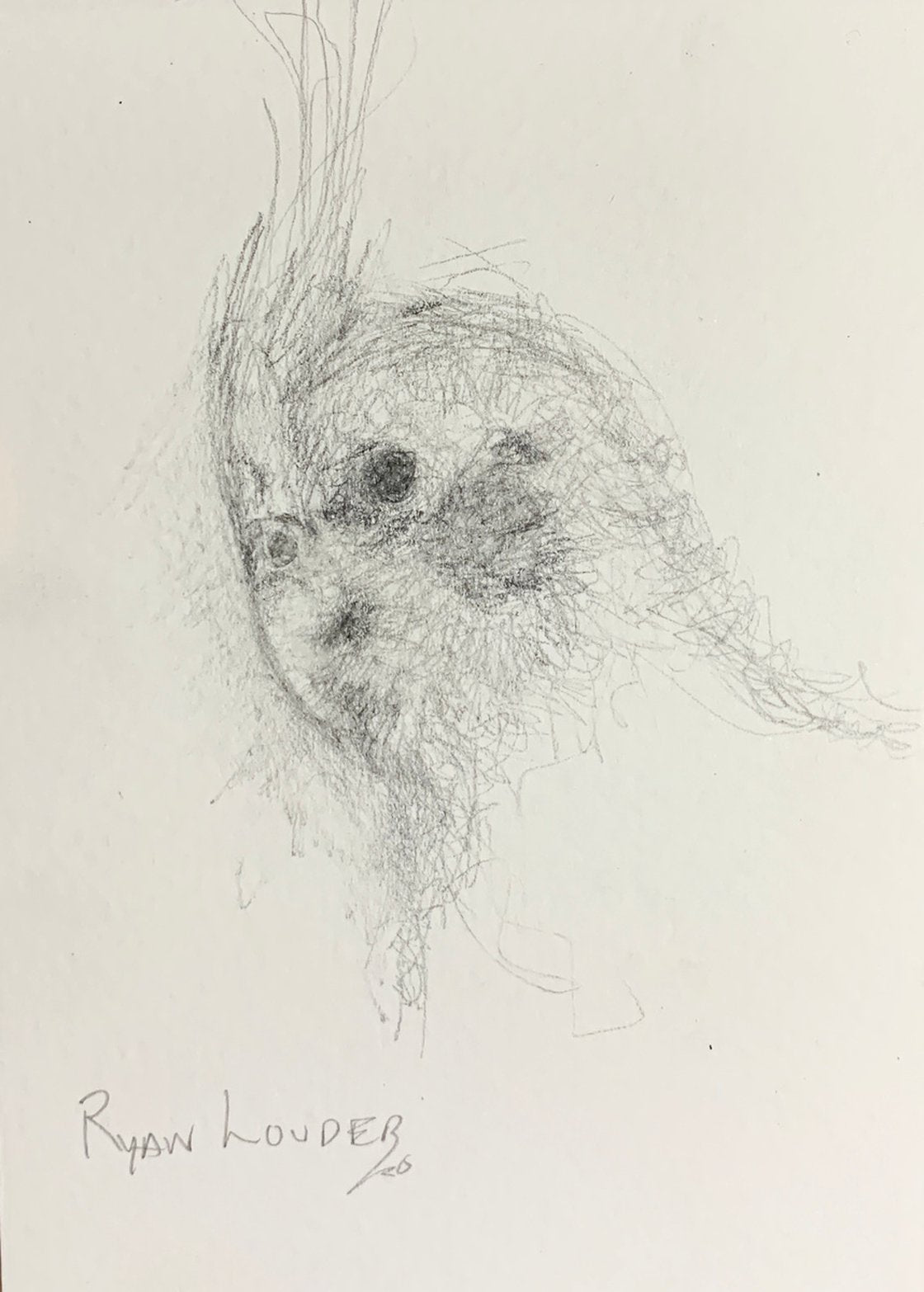 A painting titled 'Cockatiel Head Study by Ryan Louder' by Ryan Louder