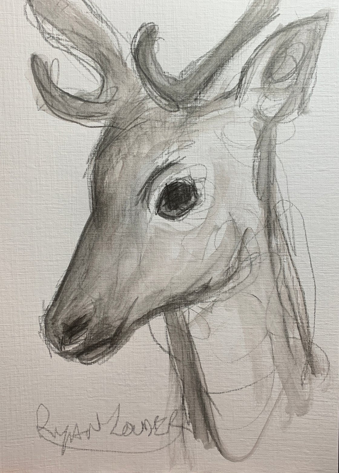 The Deer - Wildlife Drawing by Ryan Louder - Sold