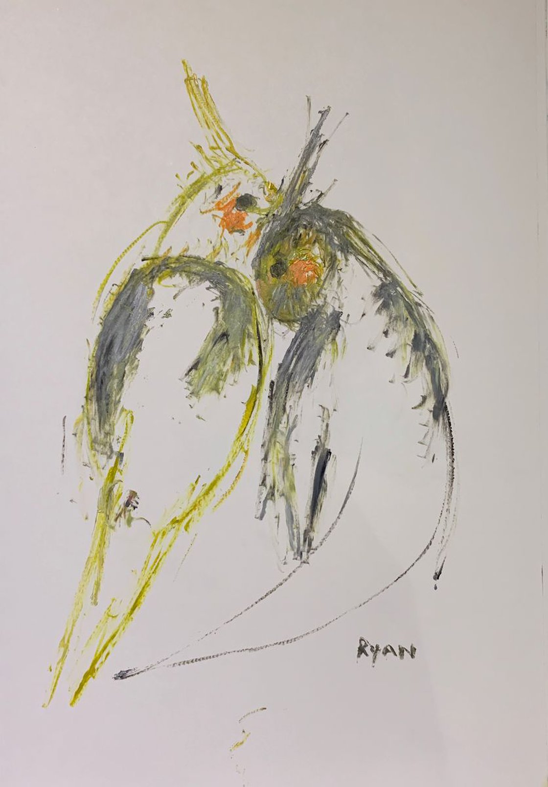 Shy Cockatiels by Ryan Louder - Sold