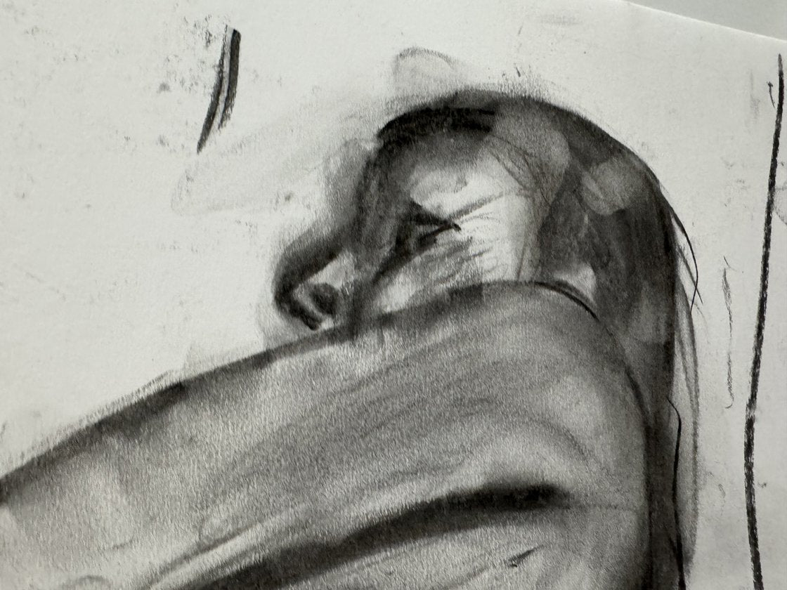 Nude Zoma 3 - 16x23 Oil and Charcoal On Paper by Ryan Louder
