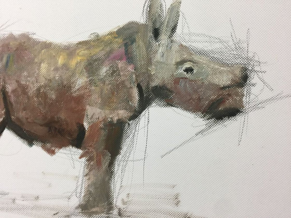 Rhino by Ryan Louder - Sold