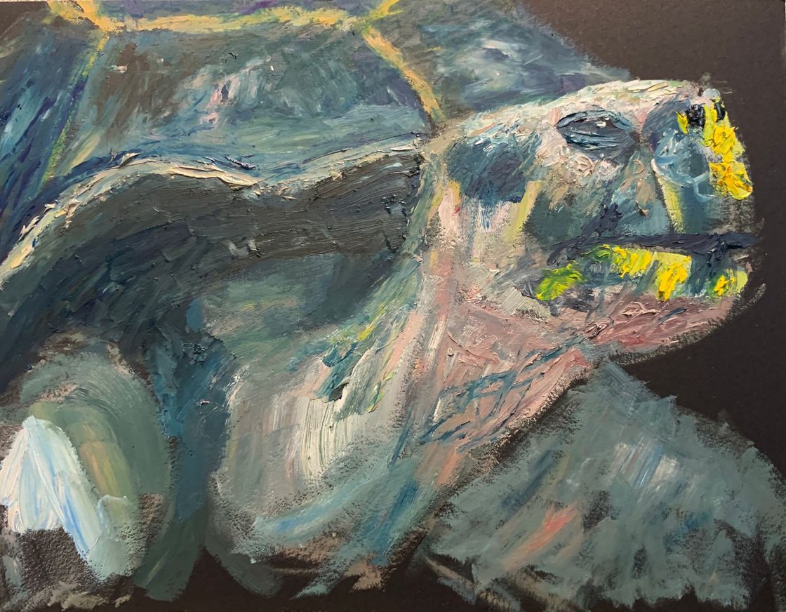 Tortoise by Ryan Louder - Sold