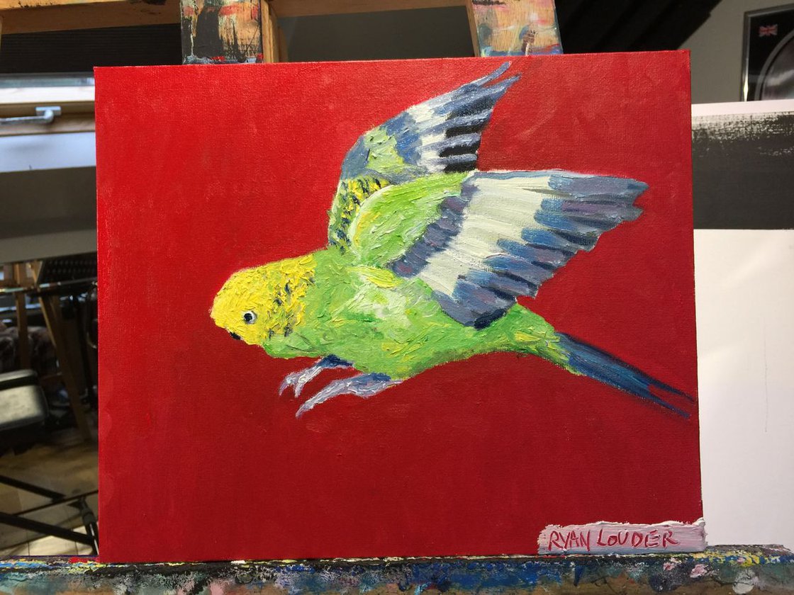 Budgie by Ryan Louder - Sold