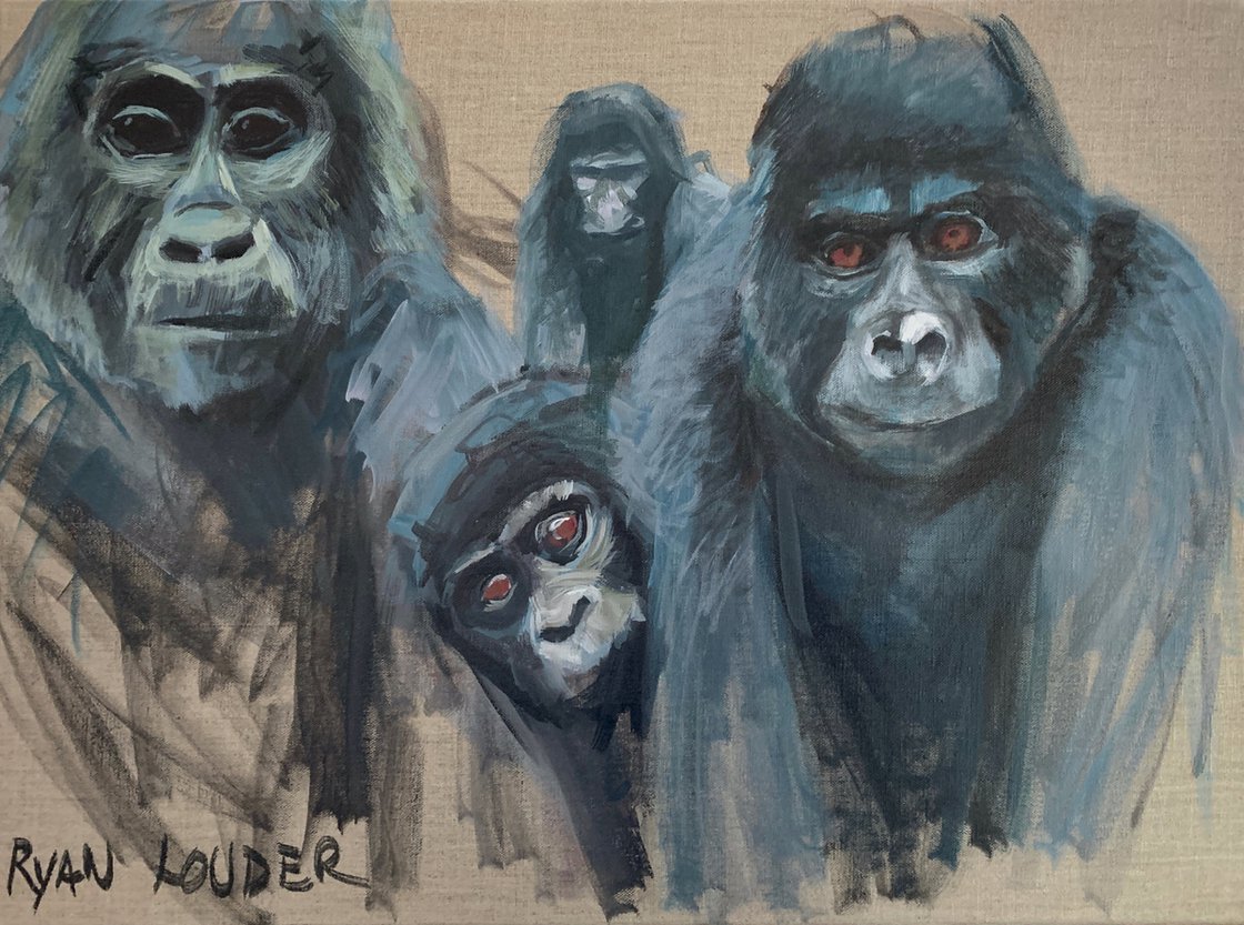 Three Gorillas and a Curious Baby Gorilla by Ryan Louder - Sold