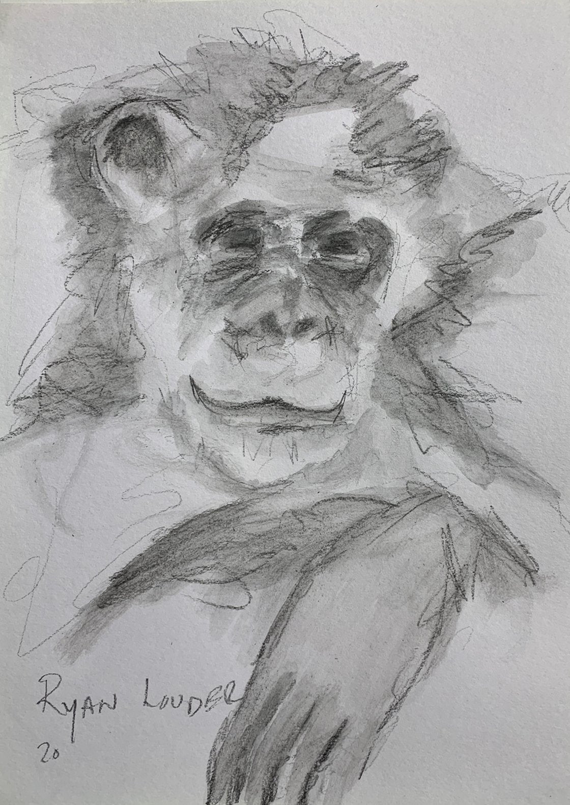 A painting titled 'Scruffy Chimpanzee by Ryan Louder' by Ryan Louder