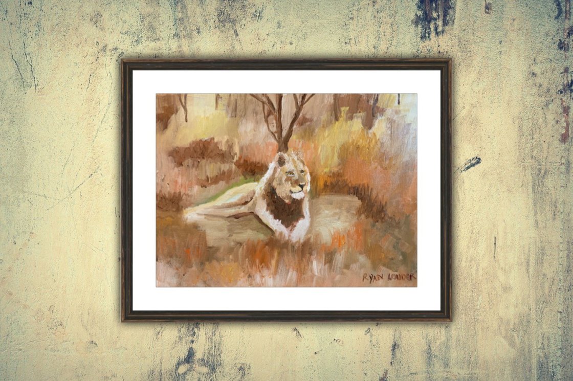Lion Resting by Ryan Louder