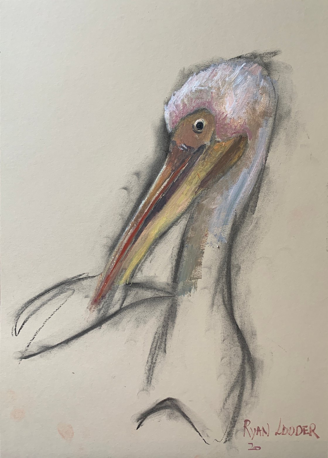 Pelican In St James Park Study 12x16 by Ryan Louder - Sold
