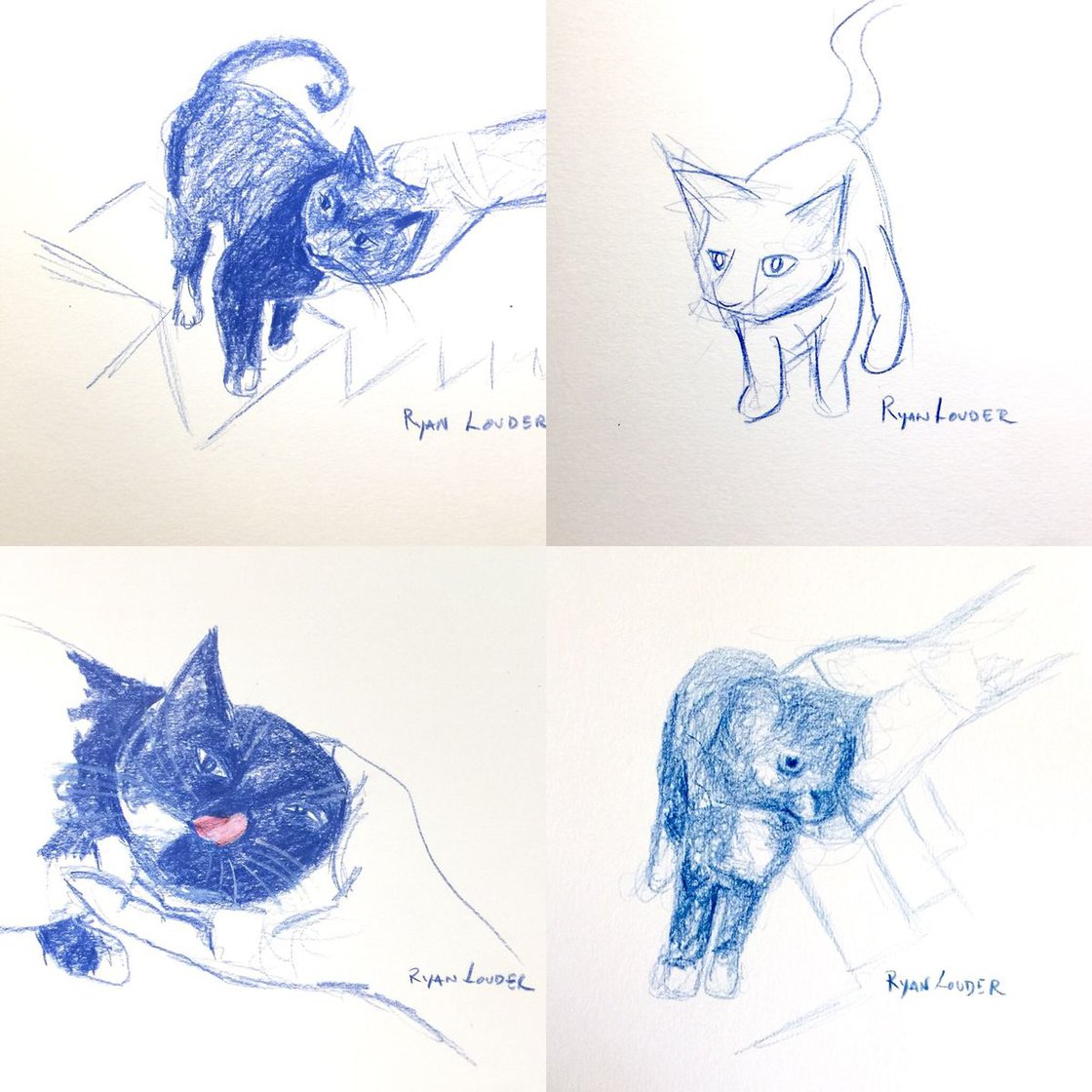 A painting titled 'Kitten by Ryan Louder' by Ryan Louder