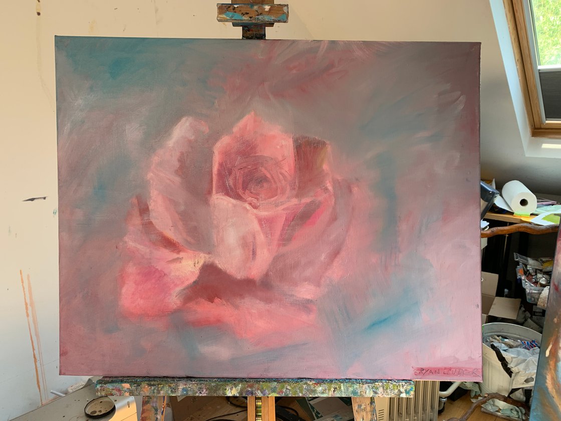 Pink Rose by Ryan Louder