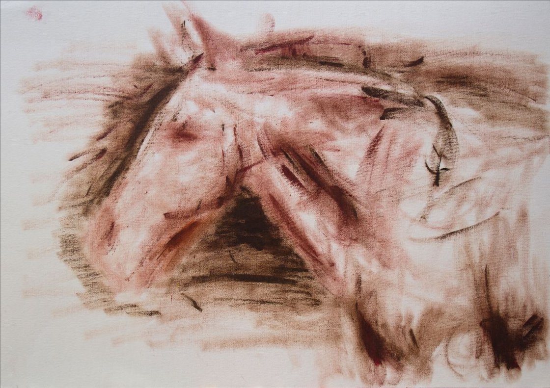 Horse Sketch Study by Ryan Louder - Sold