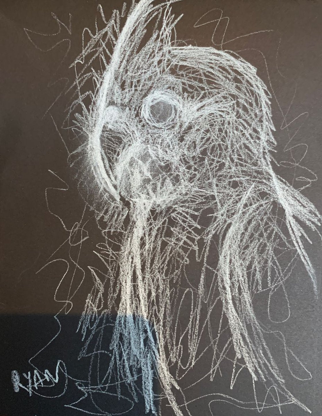 Cockatiel settling in by Ryan Louder - Sold