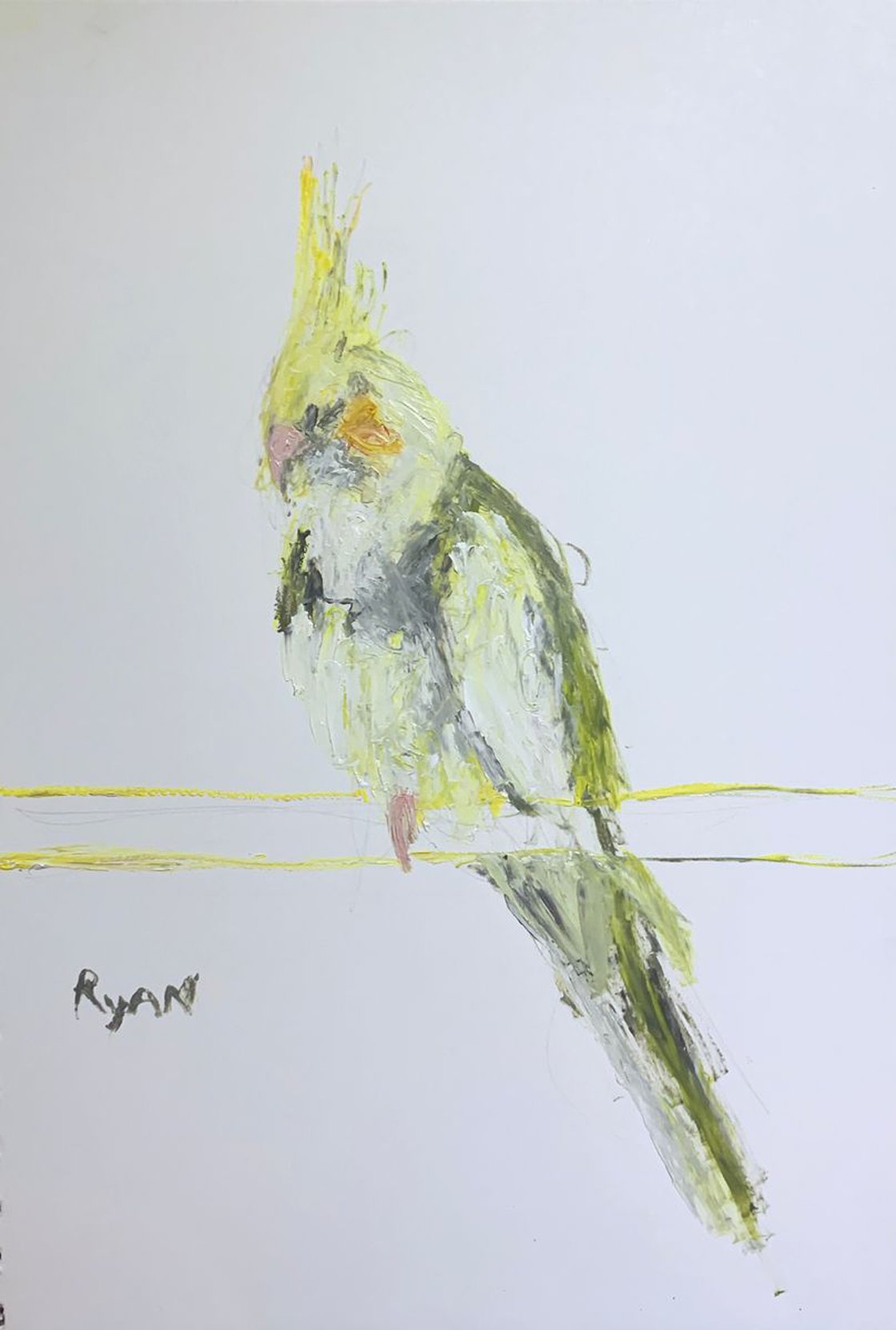 A painting titled 'Cockatiel Resisting Sleep by Ryan Louder' by Ryan Louder