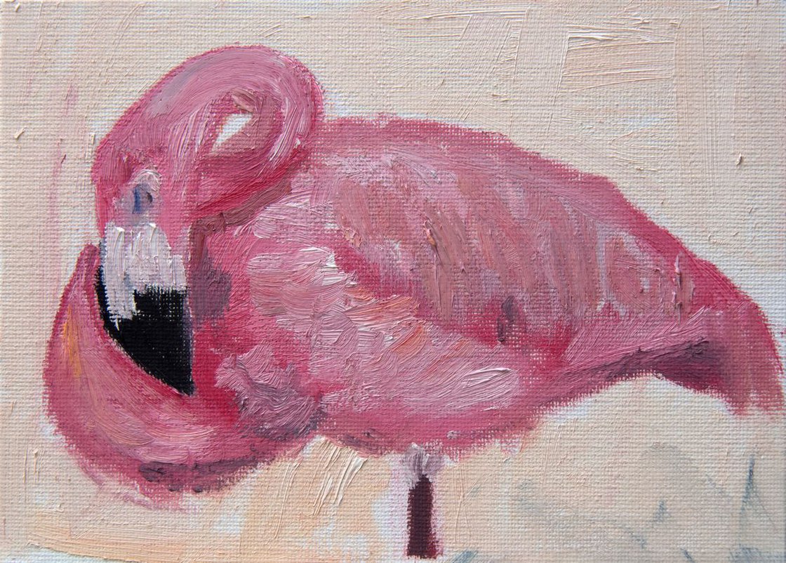 Flamingo Painting - Flamingos Sleeping 3 - Bird painting - Flamingo Wall Art by Ryan Louder - Sold