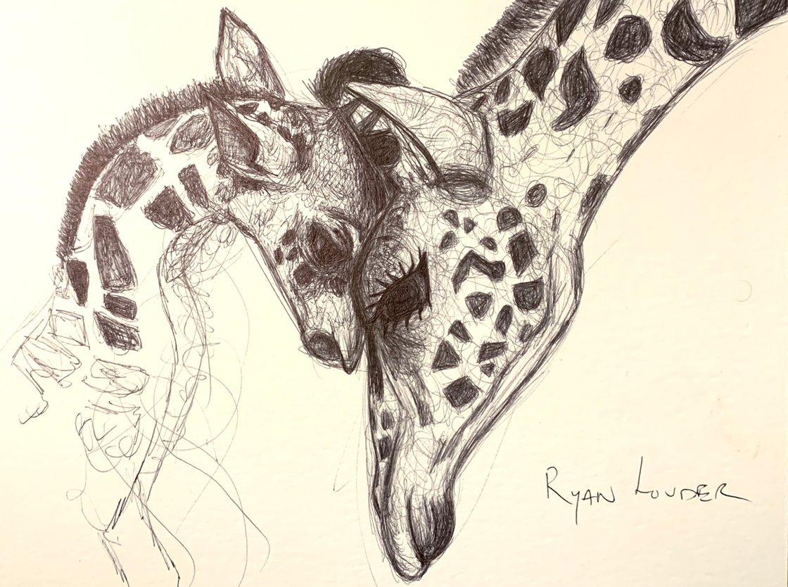 Giraffe and Baby 12x16 by Ryan Louder - Sold