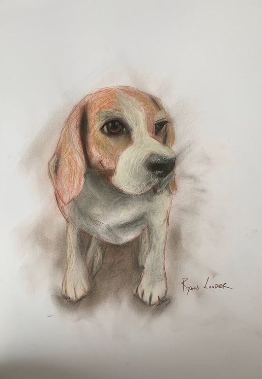 Shy Beagle Painting by Ryan Louder