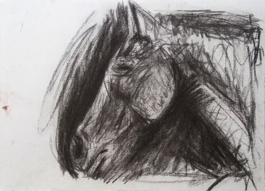 Horse In Charcoal 9x12 Ink on paper Painting by Ryan Louder