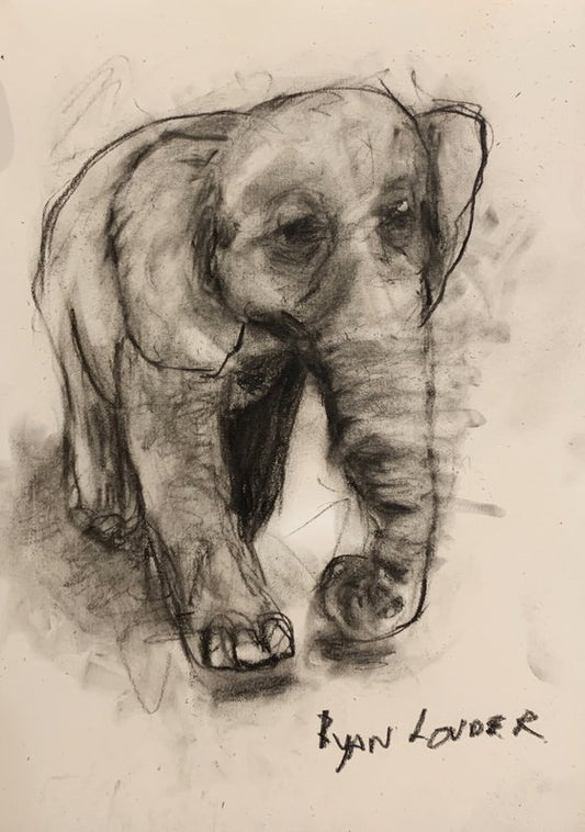 Happy Elephant - Small Drawing Painting by Ryan Louder