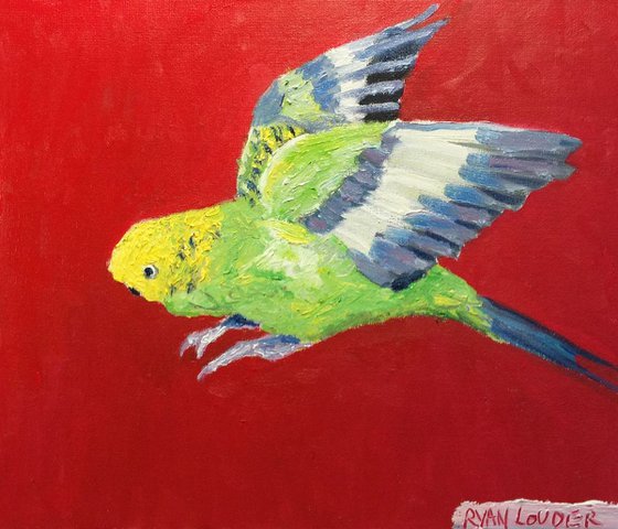 Budgie Painting by Ryan Louder