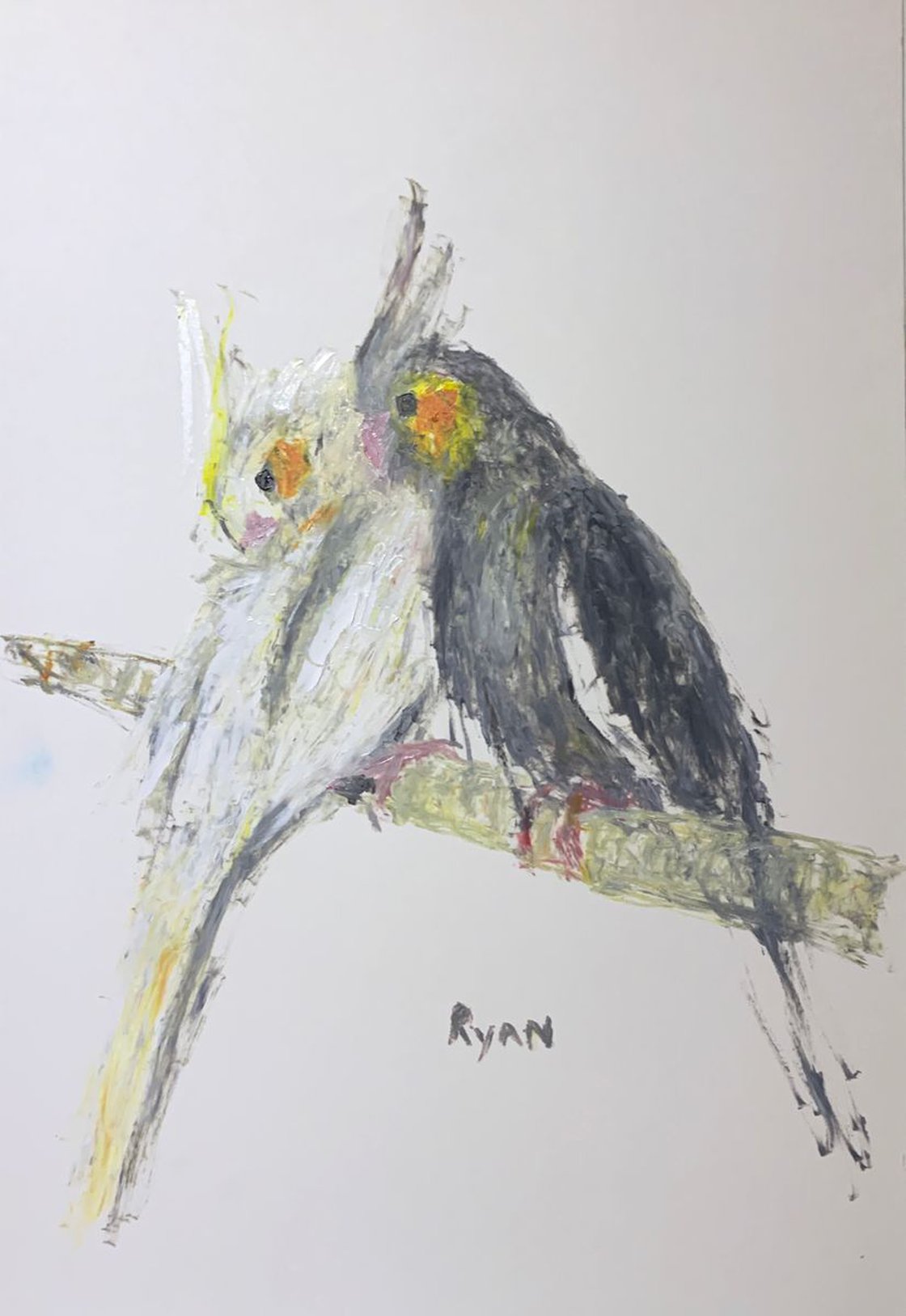 A painting titled 'Cockatiels resting 9x12 Study by Ryan  Louder' by Ryan Louder