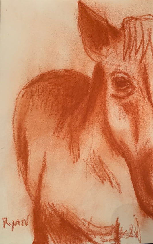 Horse Study - wildlife drawing by Ryan  Louder