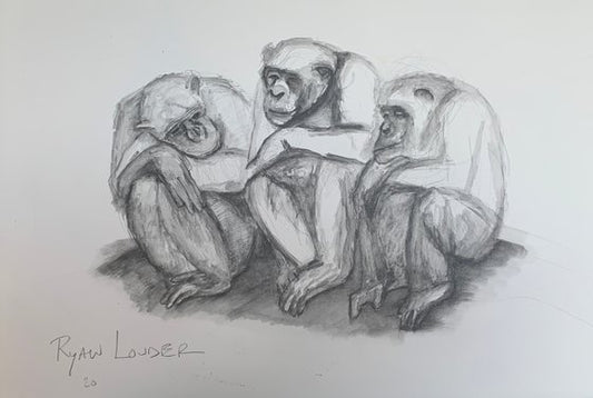 Three Chimpanzees 14x18  Wildlife Artwork Painting by Ryan Louder