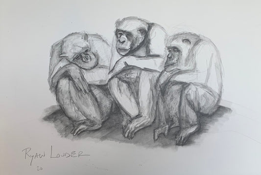 A painting titled 'Three Chimpanzees 14x18  Wildlife Artwork by Ryan  Louder' by Ryan Louder