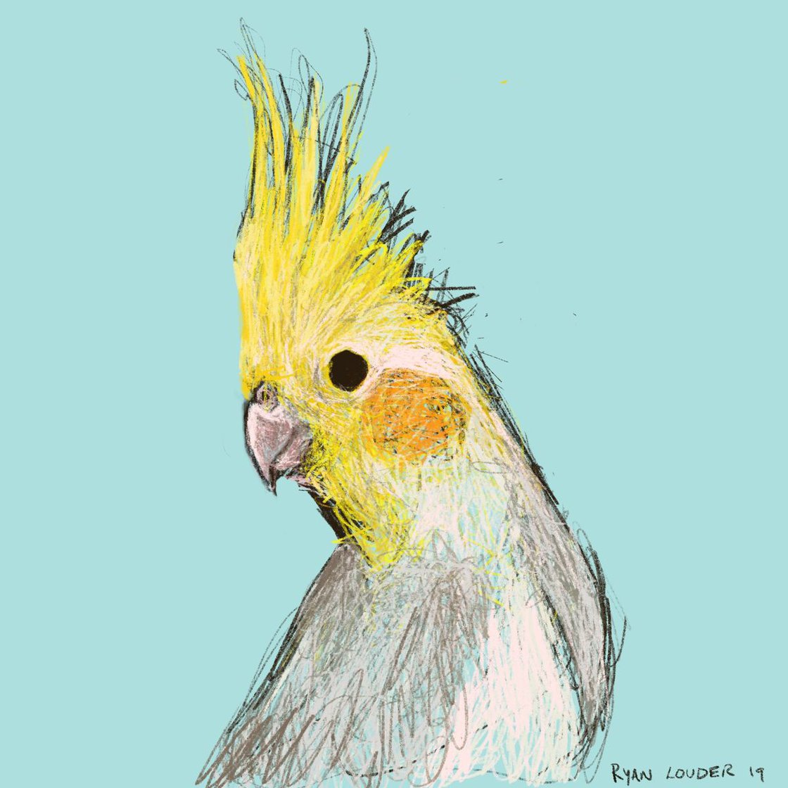 A painting titled 'Cockatiel 12x12 limited edition by Ryan  Louder' by Ryan Louder