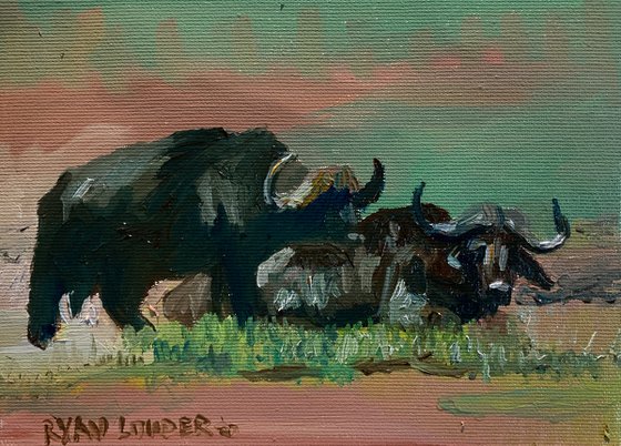 Water Buffalo Painting by Ryan Louder