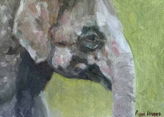 Young Elephants Head - Painting by Ryan Louder