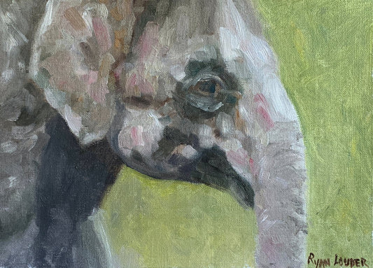 Young Elephants Head - by Ryan  Louder