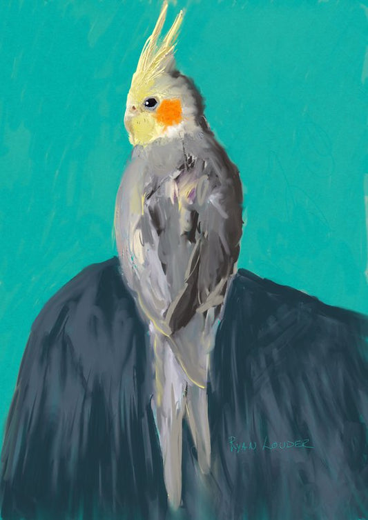 Cockatiel Against A Teal Background Painting by Ryan Louder