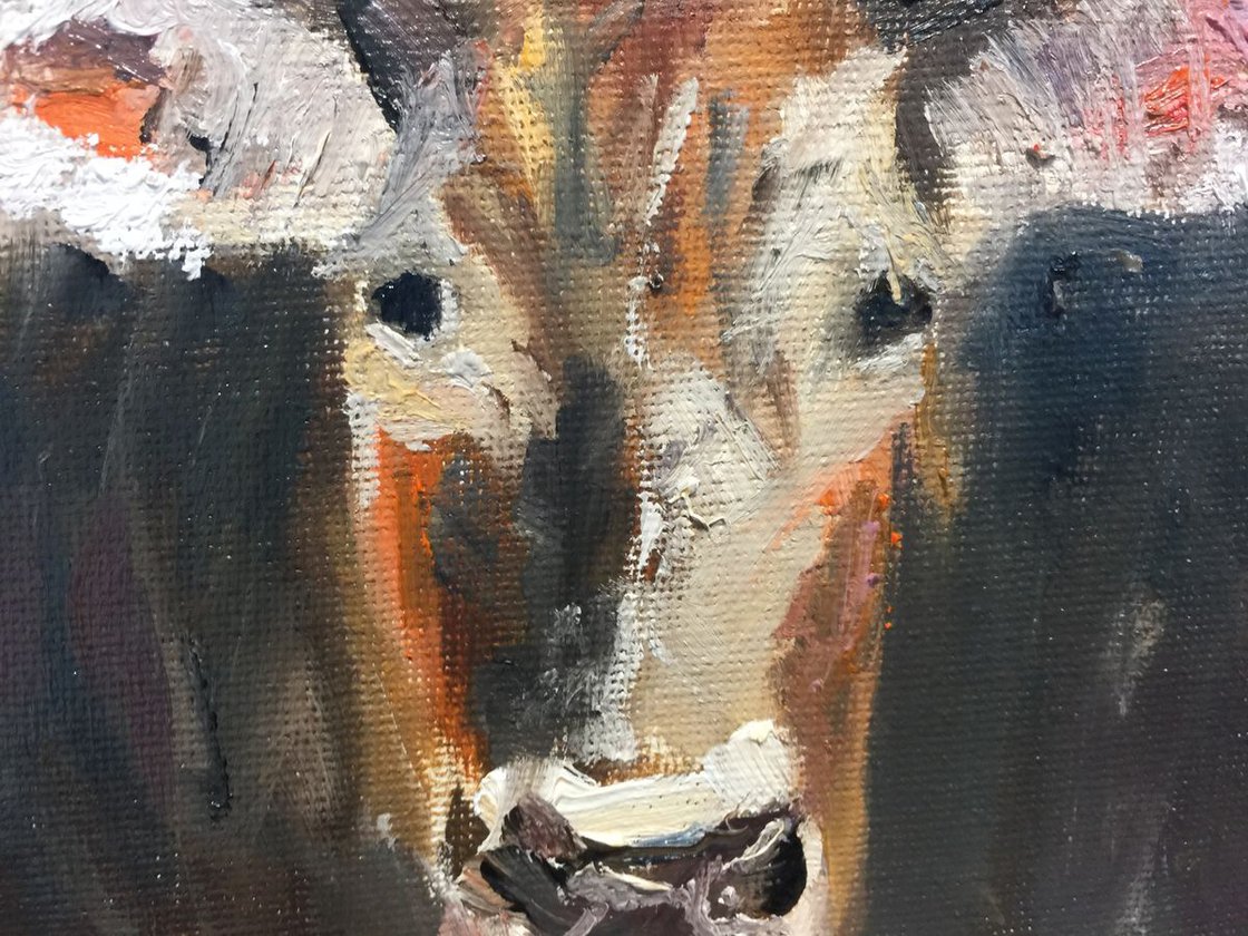 Cow by Ryan  Louder - Sold