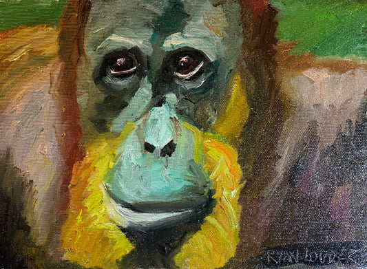 Orangutan by Ryan  Louder - Sold