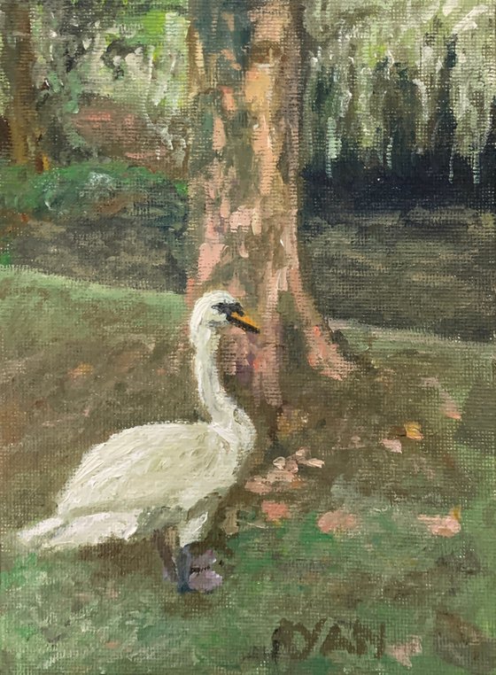 Swan In The Park Painting by Ryan Louder