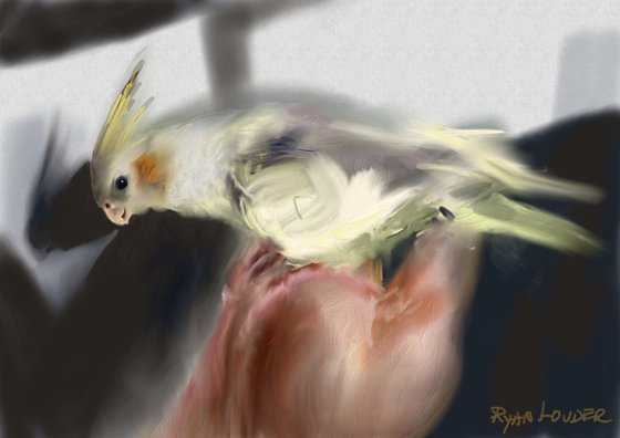 Cockatiel In The Sun Painting by Ryan Louder