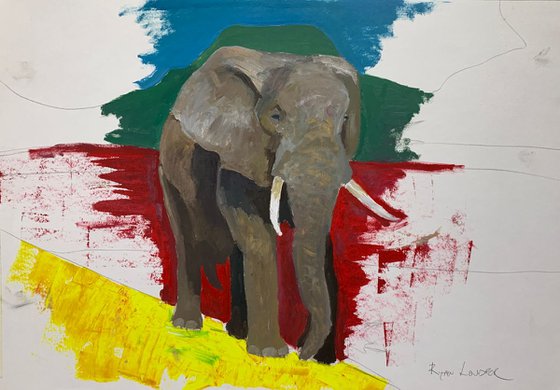 Elephant Study oil on paper 16x24 Painting by Ryan Louder